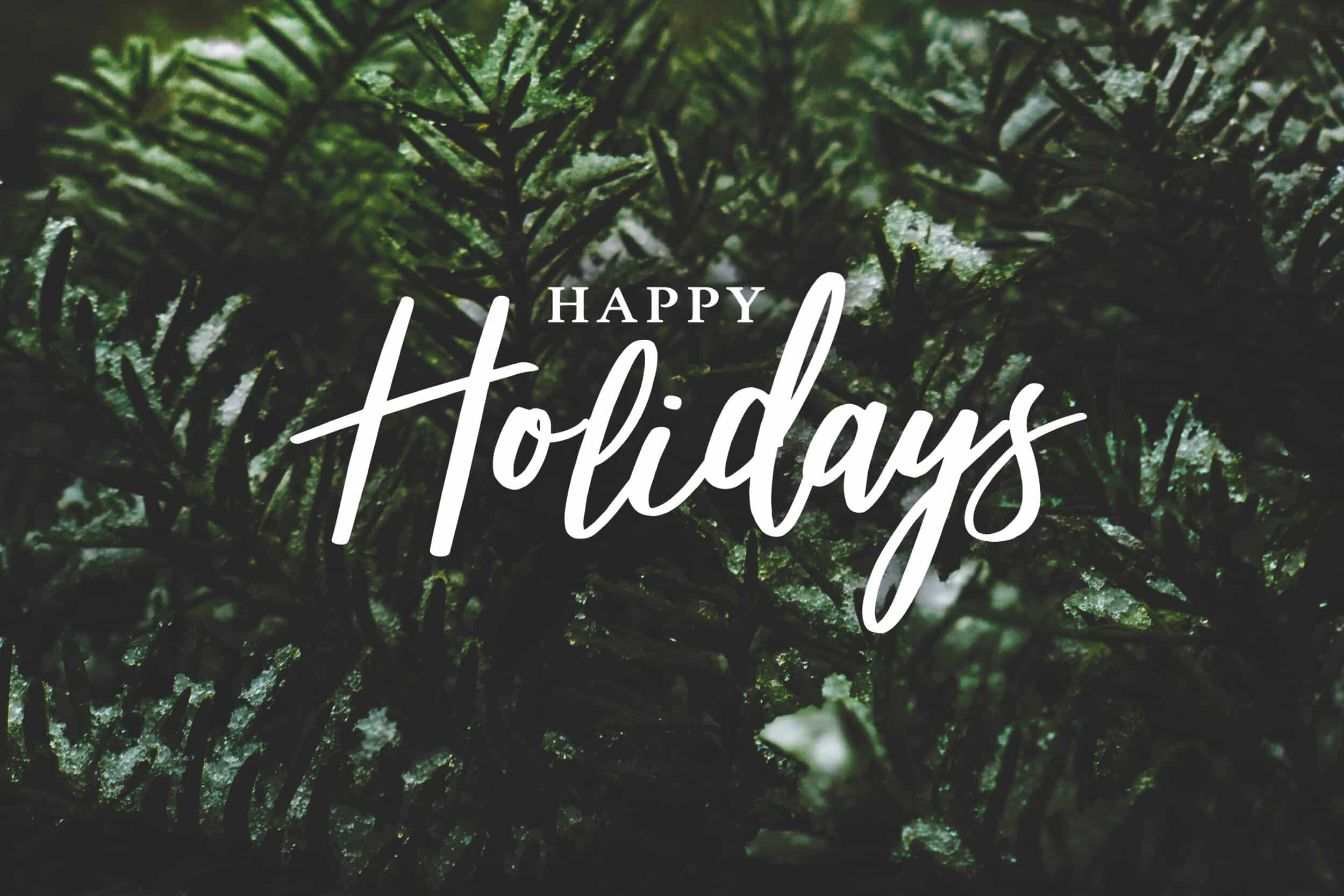 Happy Holidays Text Over Winter Evergreen Branches Covered in Sn
